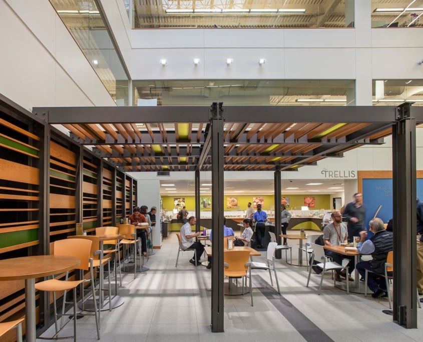 trellis_elevation_to_sewrvery