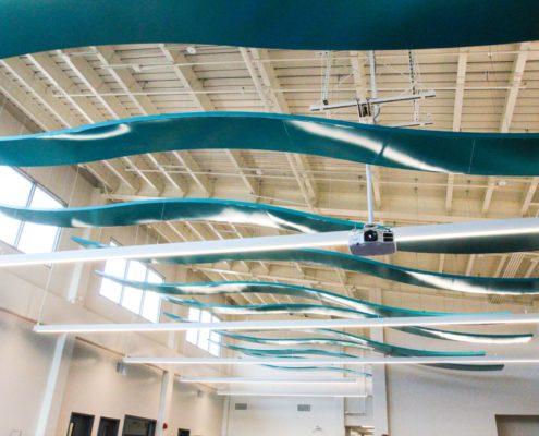 Solomon Solomon Elementary Ceiling