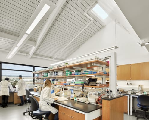 coas_1030172442 UCSC Coastal Biology