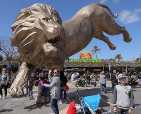 sd-1522019168-f5bzf61nwc-snap-image