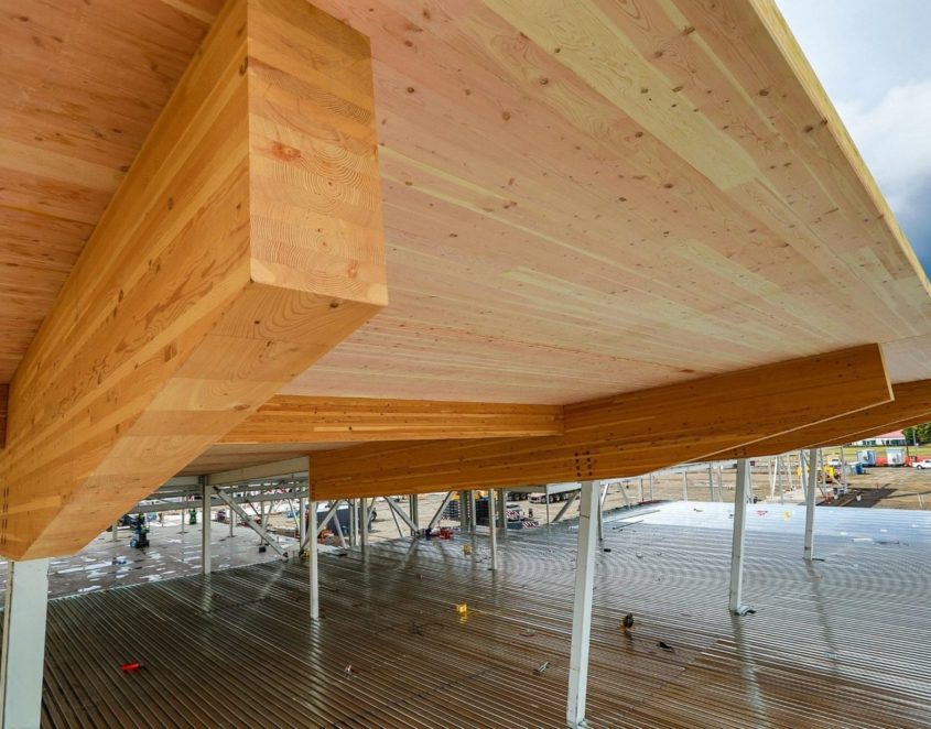wingspan mass timber