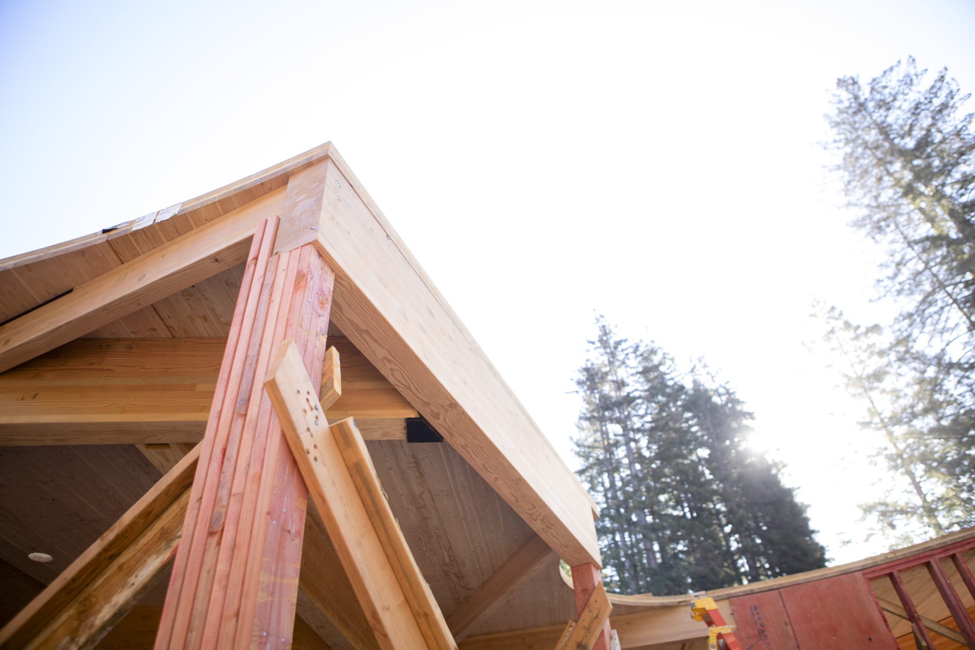 Sustainability Collaboration Early on Builds Project Success Sustainability Collaboration Early on Builds Project Success