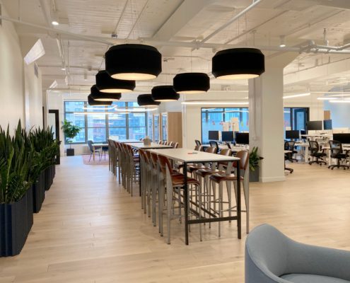 Patreon NYC Office Refresh