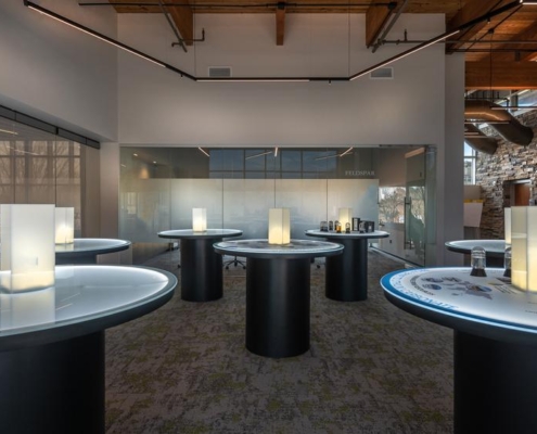 Project Alice Project Alice