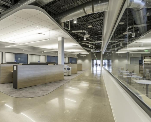 Swinerton-Biodesix-TheUnfoundDoor-9